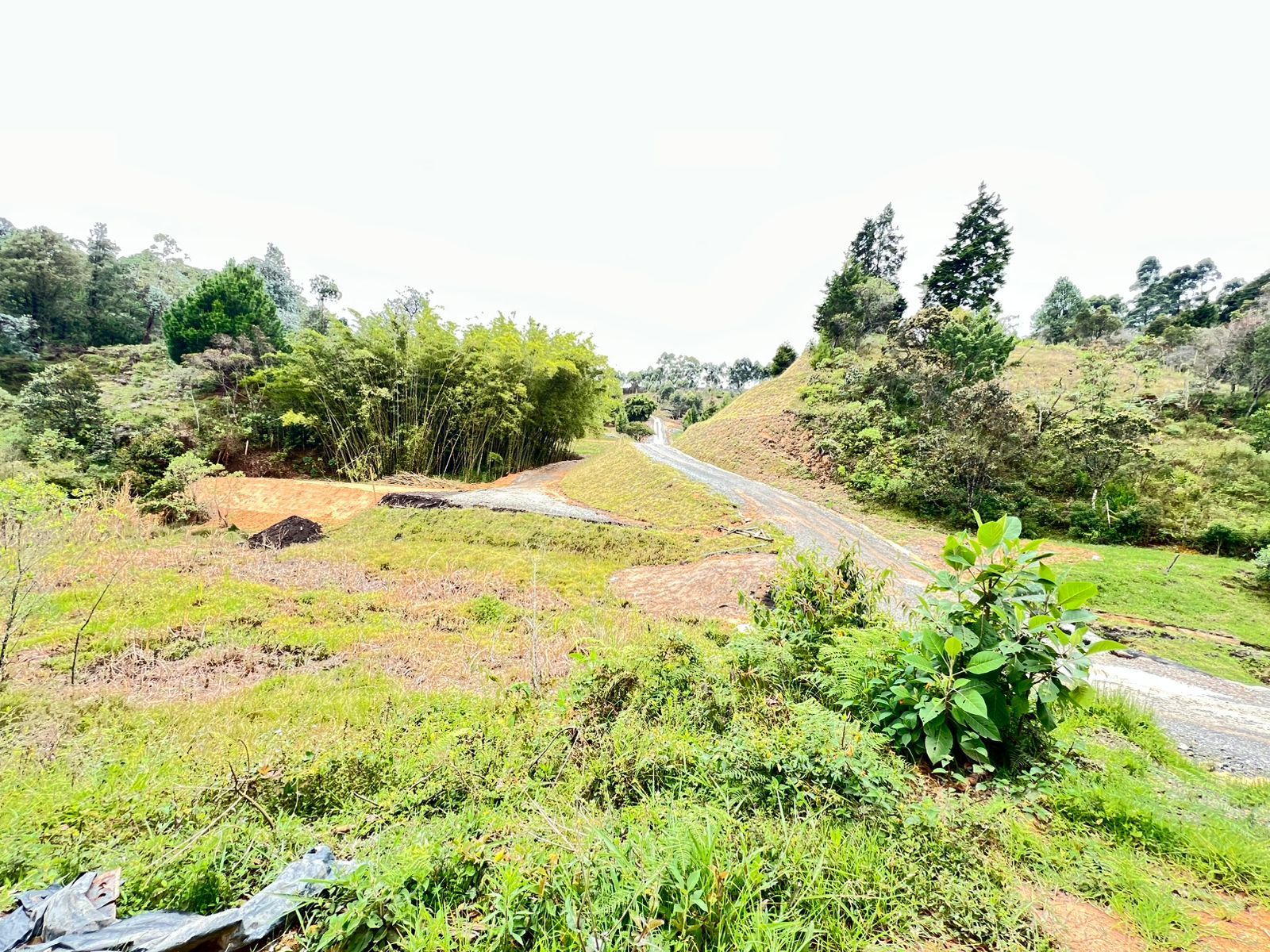 Lote en venta ubicado en Guarne, sector Vereda la Clara - 3
