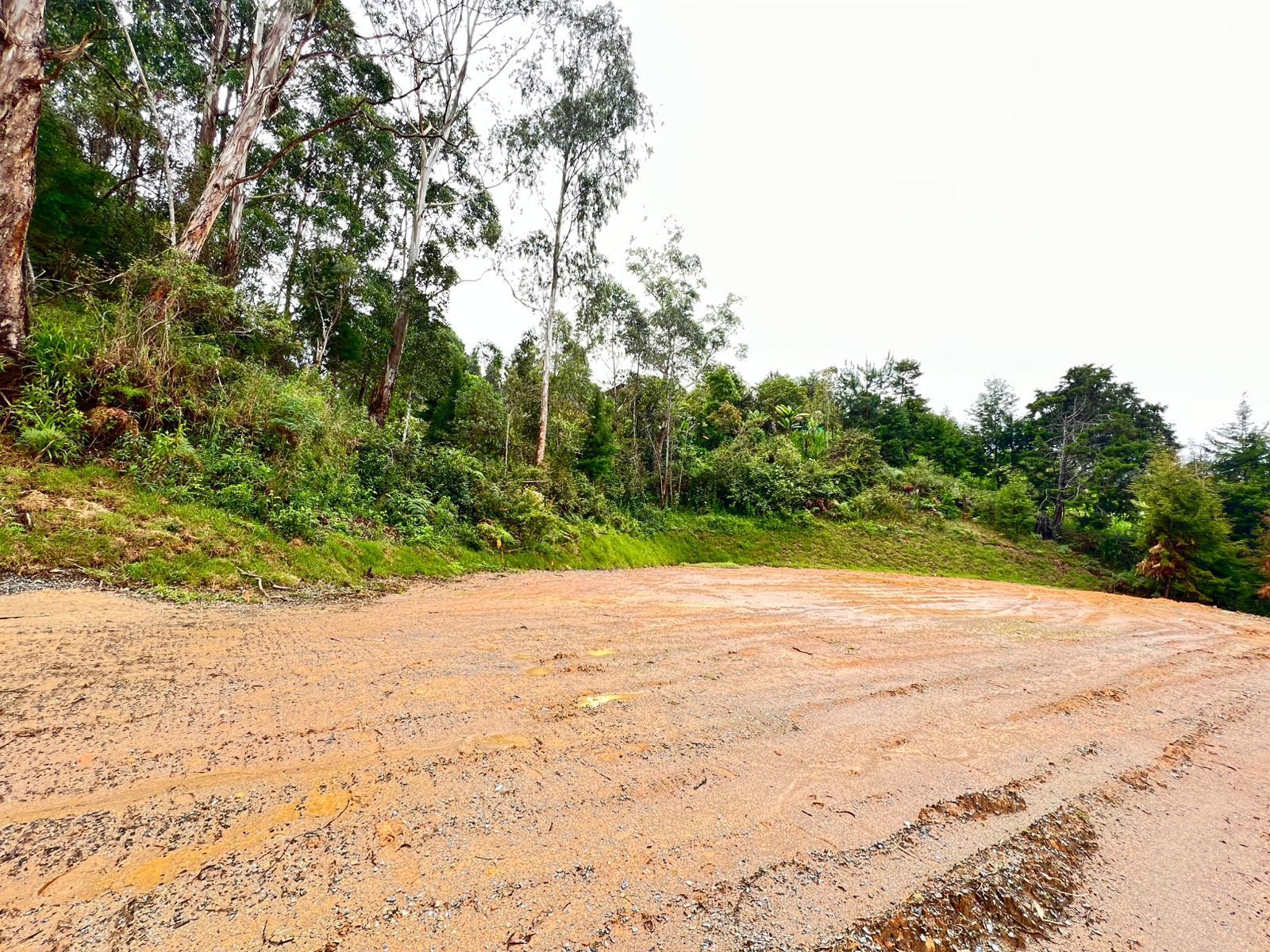 Lote en venta ubicado en Guarne, sector Vereda la Clara - 5