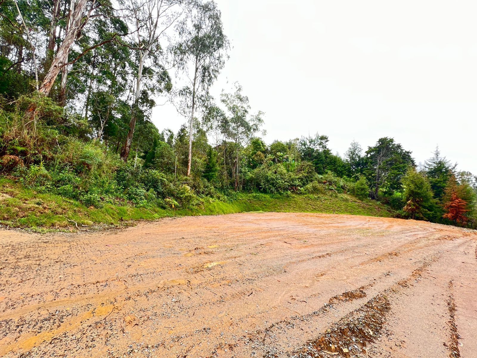Lote en venta ubicado en Guarne, sector Vereda la Clara - 6
