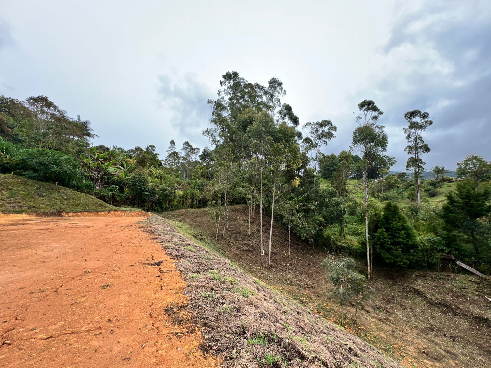 Lote en venta ubicado en Guarne, sector Vereda la Clara - 2