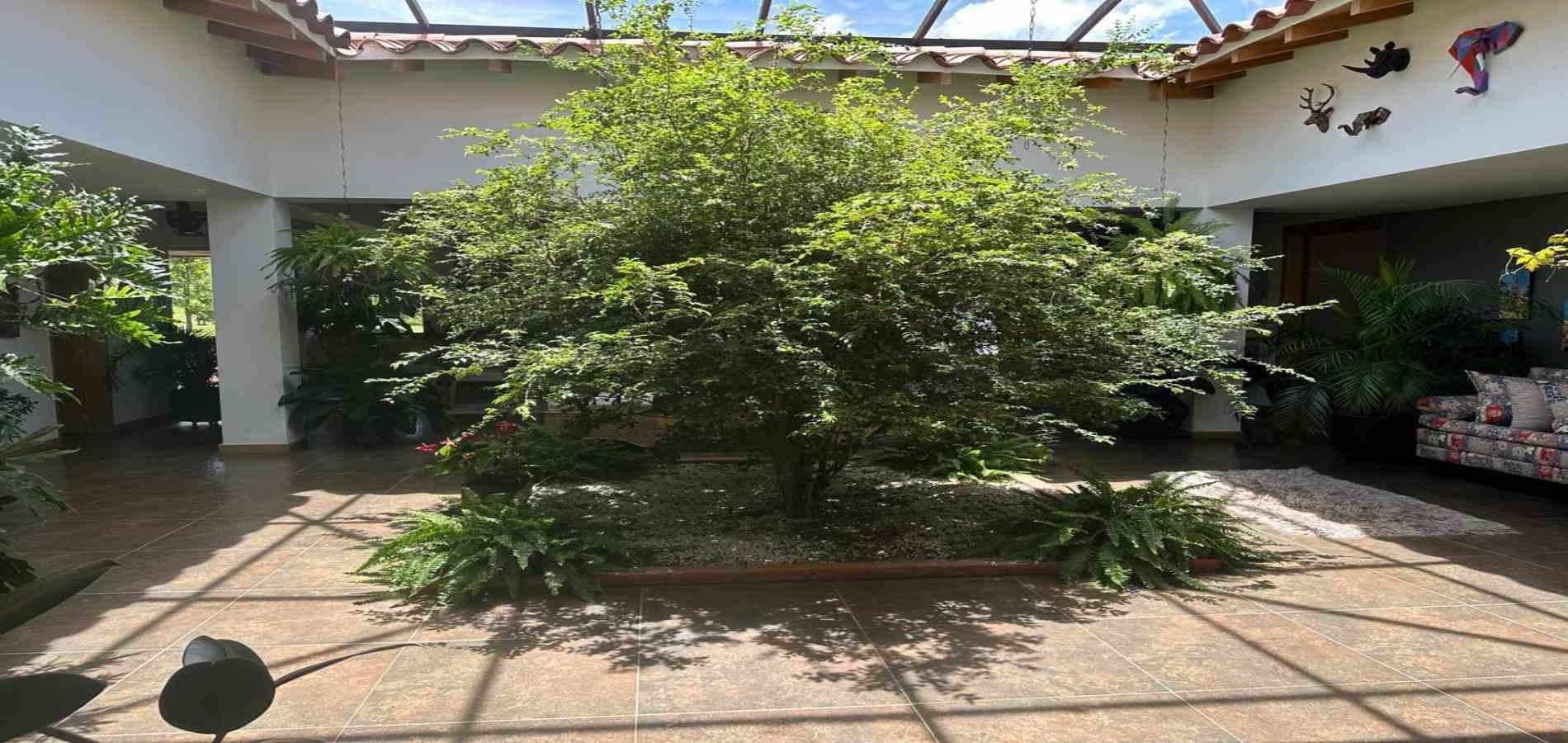 Casa en venta ubicada en La Ceja, sector El Yarumo - 12