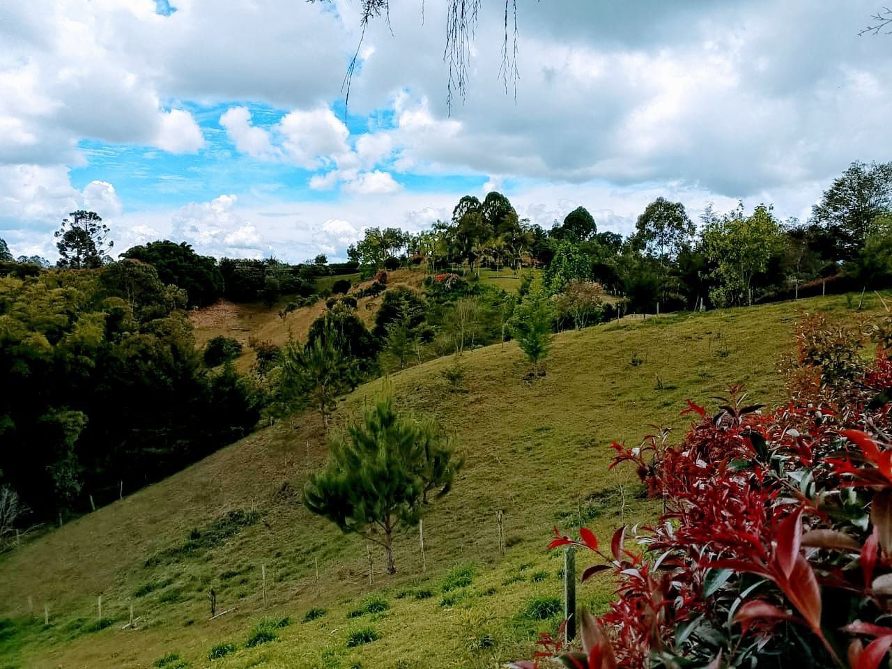 Lote en venta ubicado en Rionegro, sector San Antonio de Pereira - 2