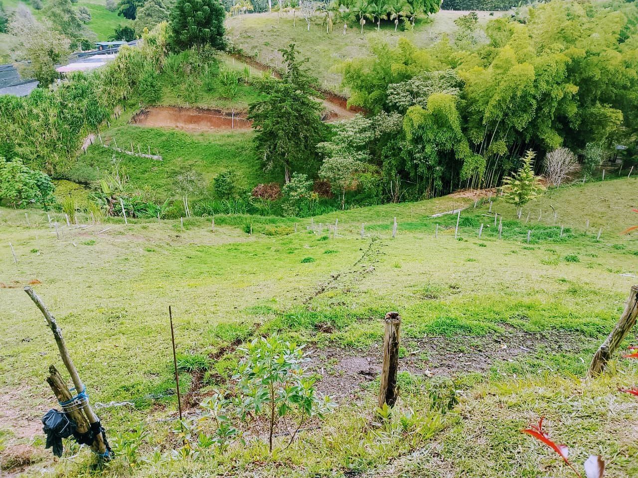 Lote en venta ubicado en Rionegro, sector San Antonio de Pereira - 3