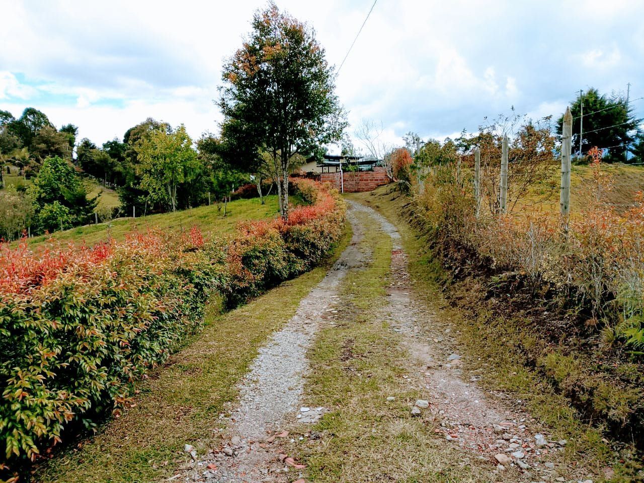 Lote en venta ubicado en Rionegro, sector San Antonio de Pereira - 4