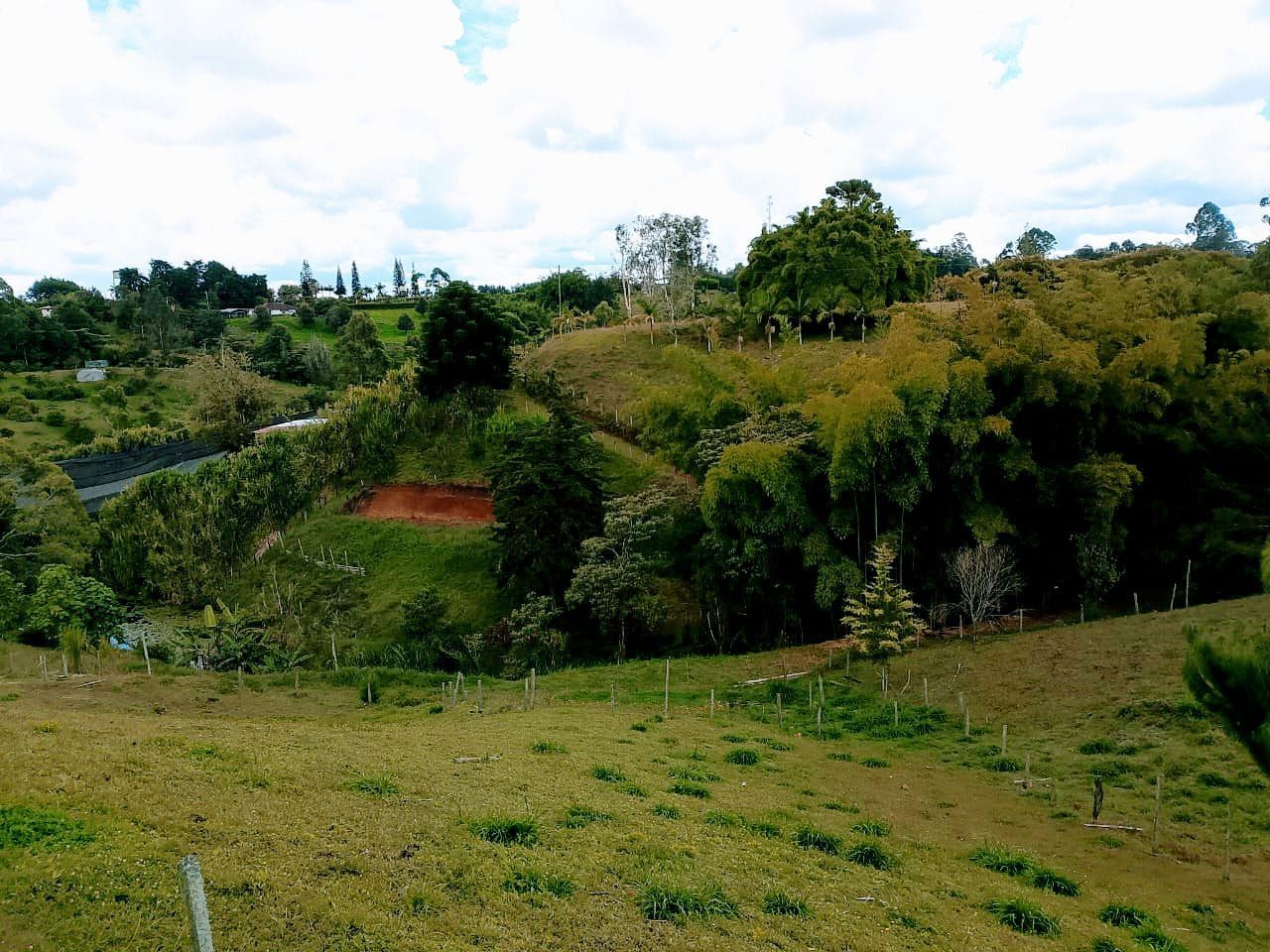 Lote en venta ubicado en Rionegro, sector San Antonio de Pereira - 6