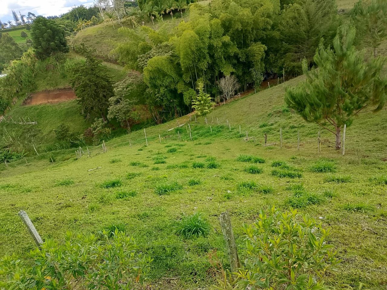 Lote en venta ubicado en Rionegro, sector San Antonio de Pereira - 7