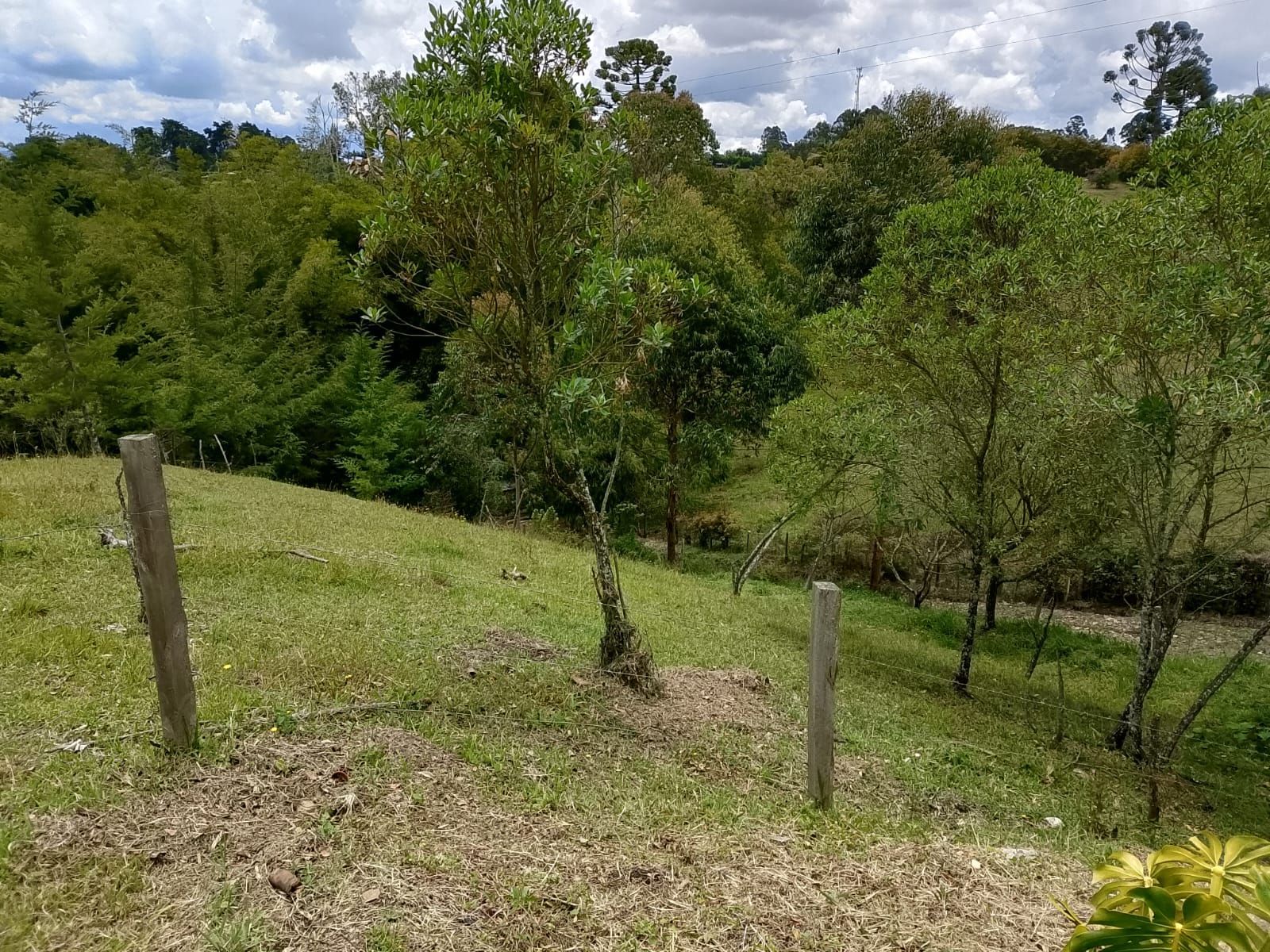 Lote en venta ubicado en Rionegro, sector San Antonio de Pereira - 2