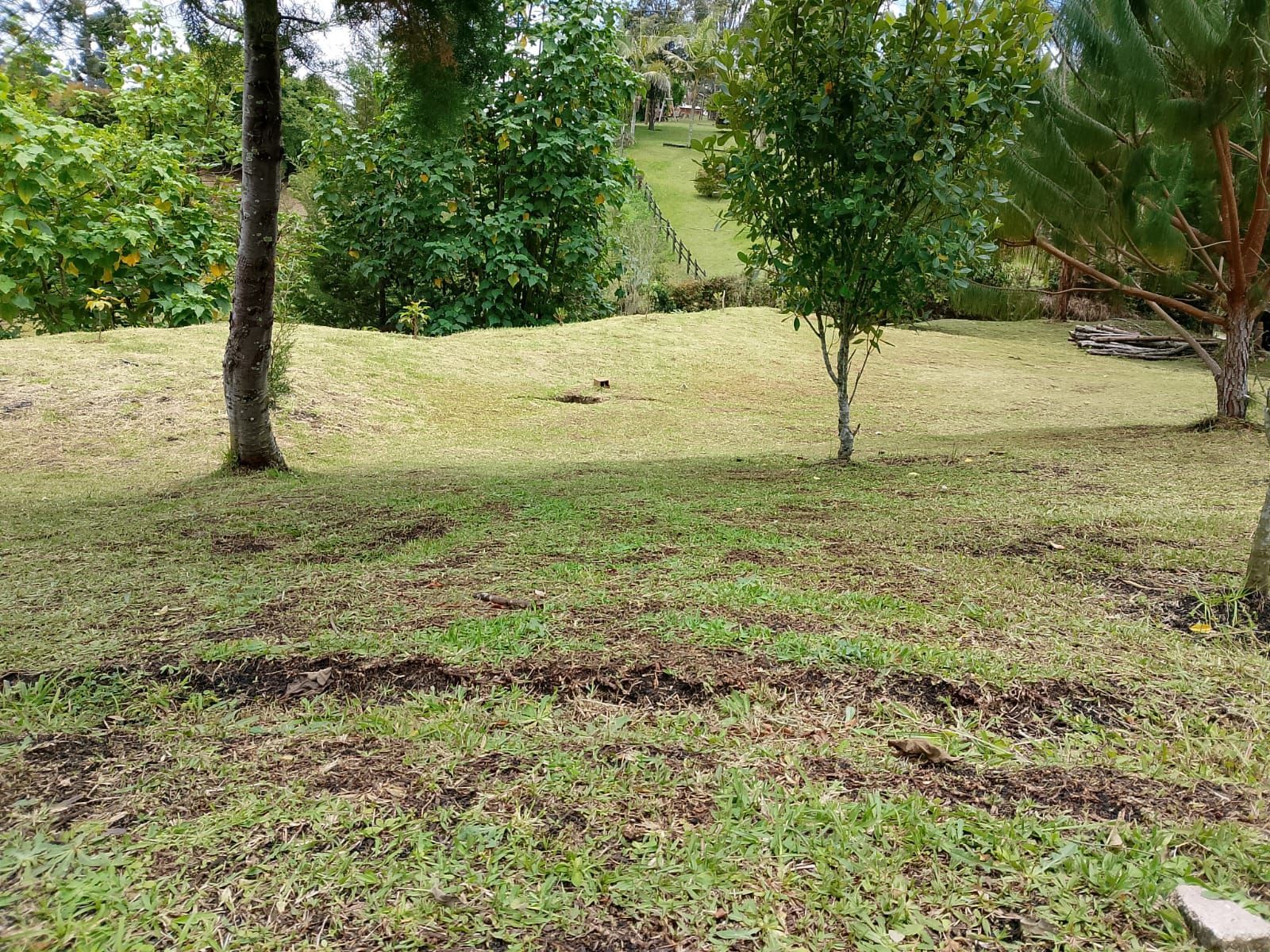 Lote en venta ubicado en Rionegro, sector San Antonio de Pereira - 3