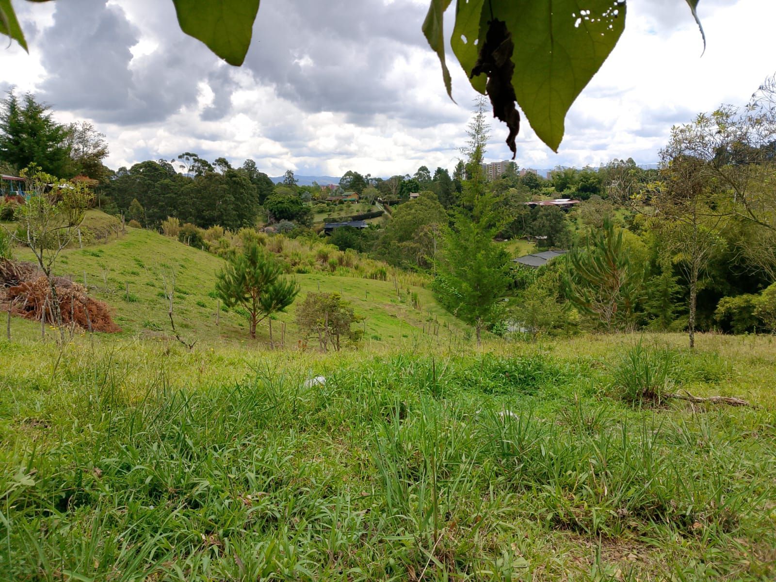 Lote en venta ubicado en Rionegro, sector San Antonio de Pereira - 4