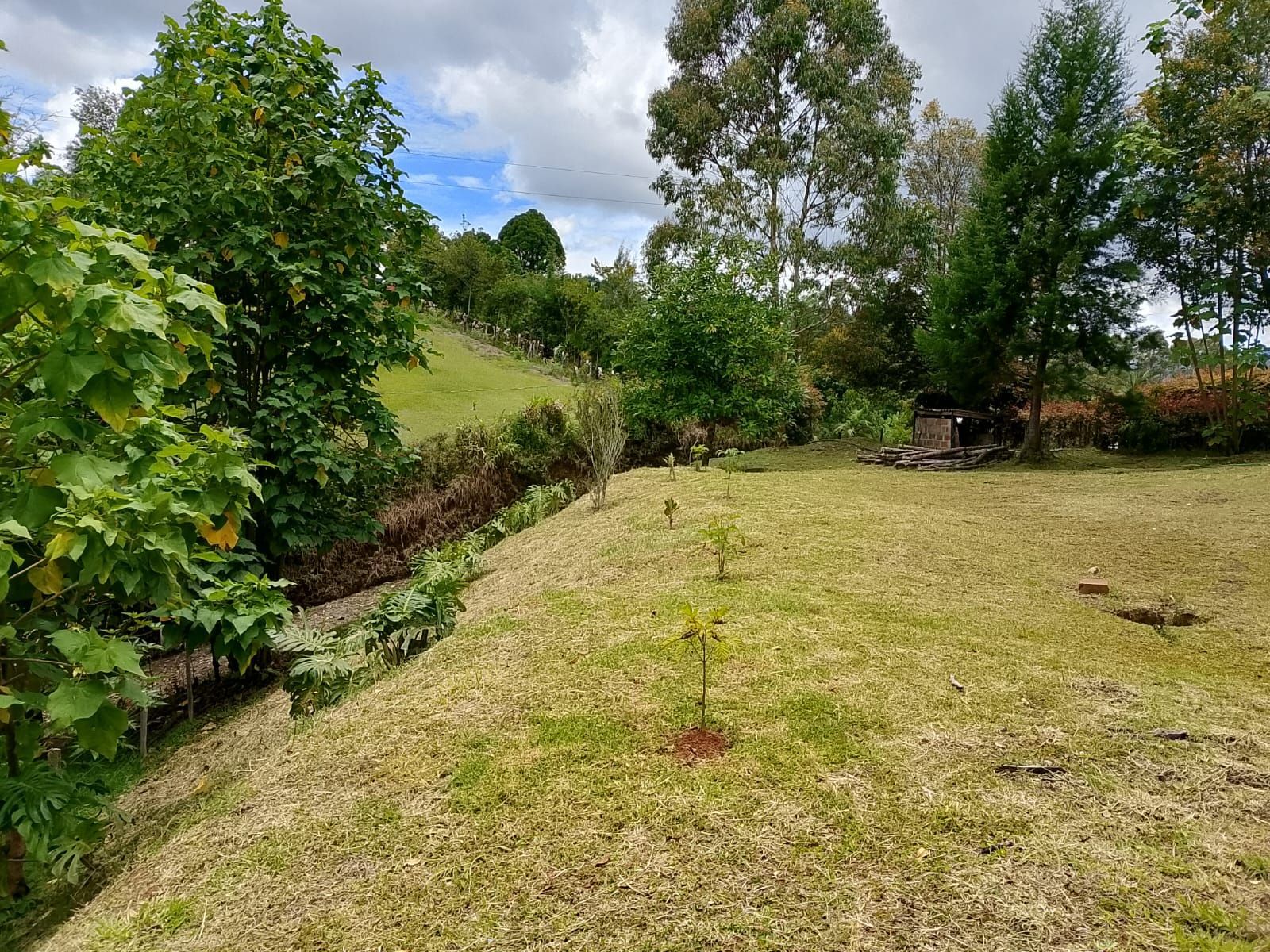 Lote en venta ubicado en Rionegro, sector San Antonio de Pereira - 5