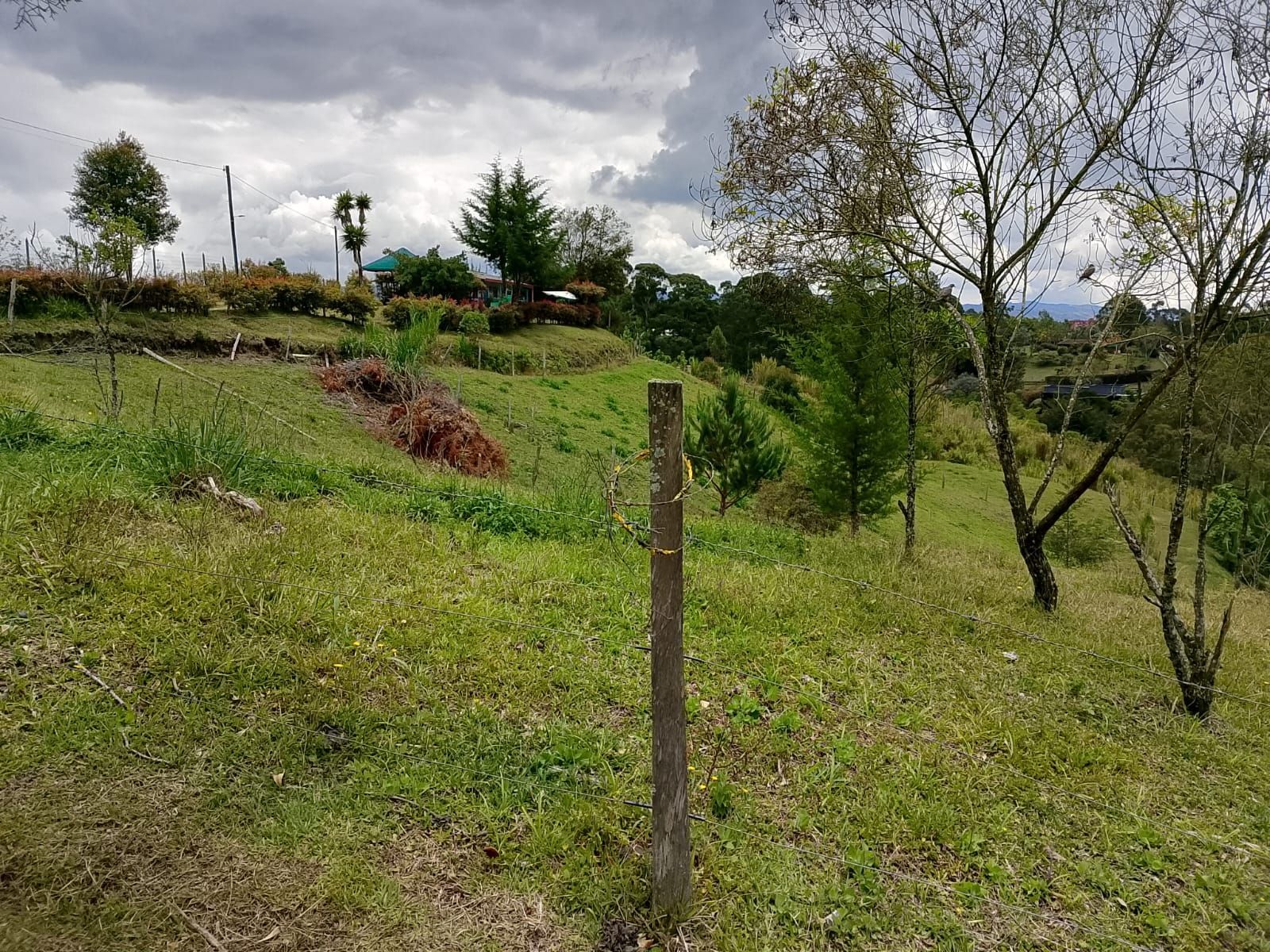 Lote en venta ubicado en Rionegro, sector San Antonio de Pereira - 6