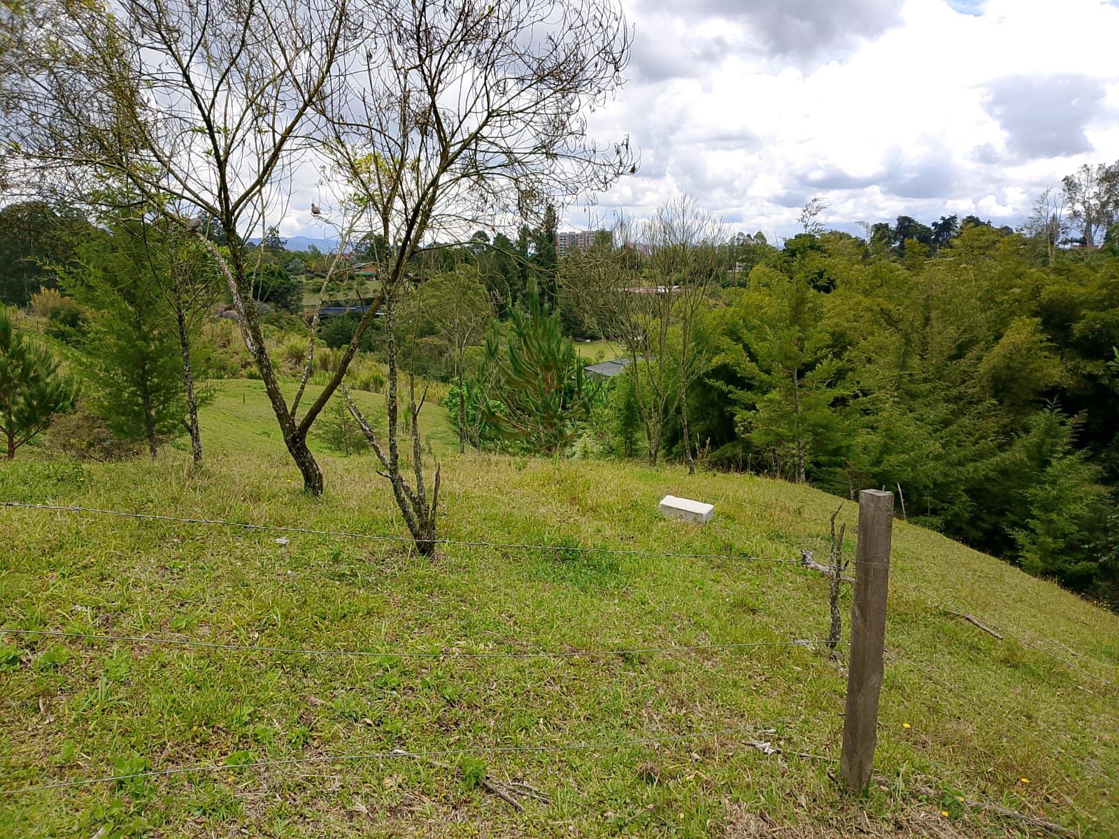 Lote en venta ubicado en Rionegro, sector San Antonio de Pereira - 7