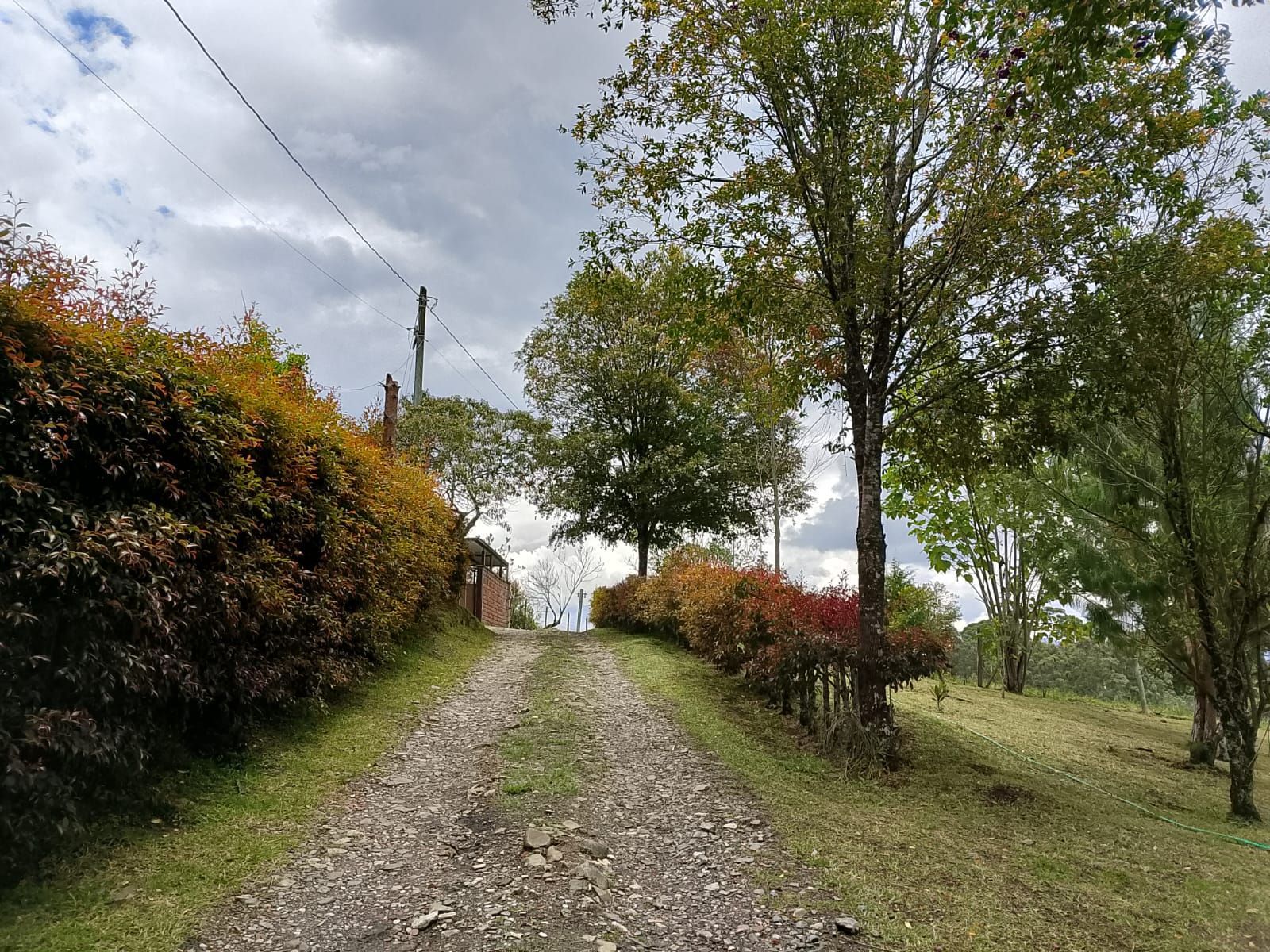 Lote en venta ubicado en Rionegro, sector San Antonio de Pereira - 8