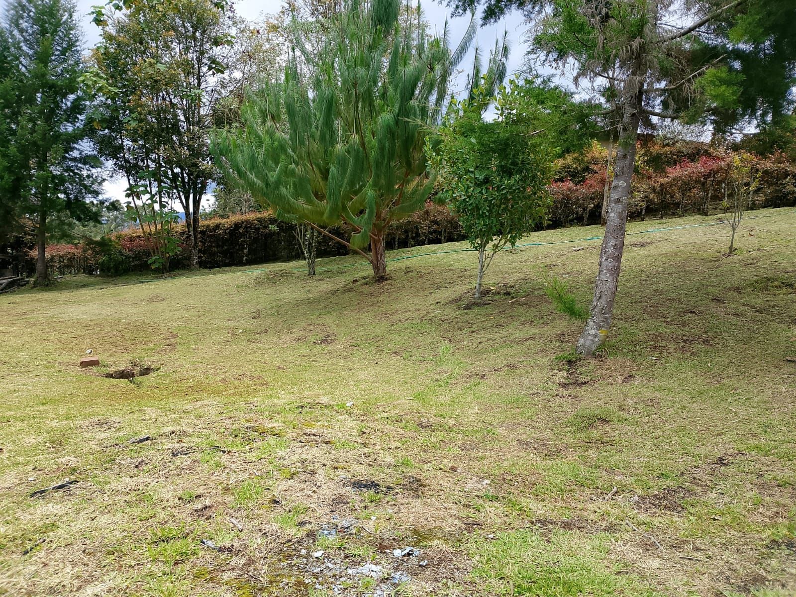 Lote en venta ubicado en Rionegro, sector San Antonio de Pereira - 10