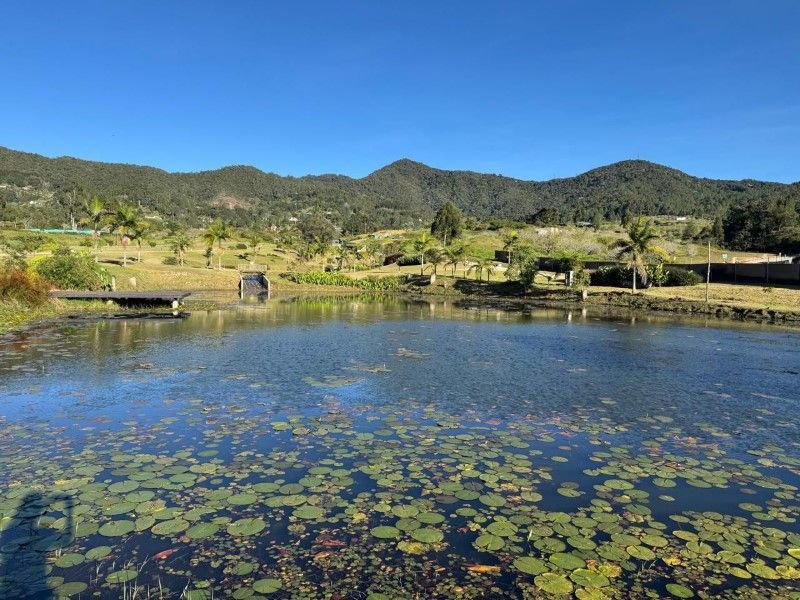 Lote en venta ubicado en La Ceja, sector Vereda el Yarumo - 3