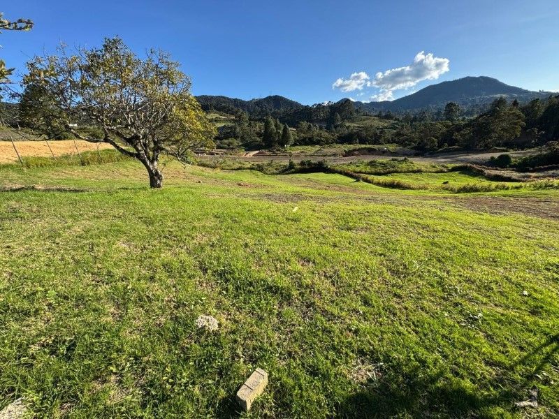 Lote en venta ubicado en La Ceja, sector Vereda el Yarumo - 6