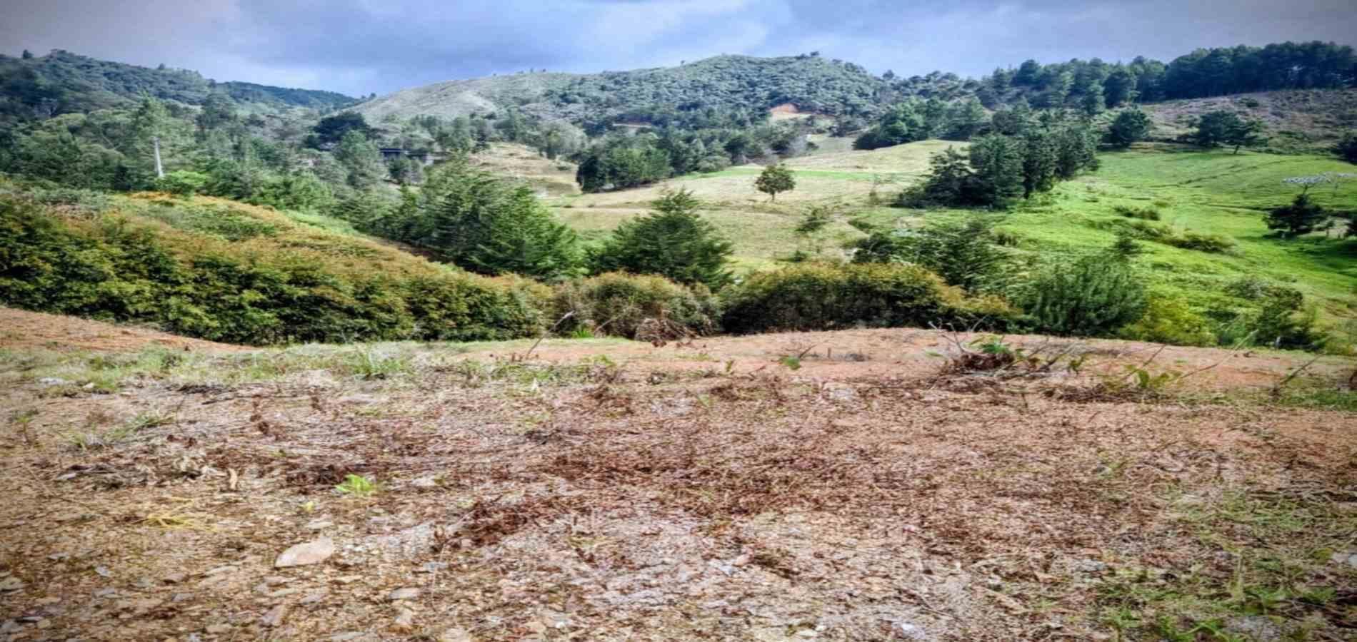 Lote en venta ubicado en El Retiro, sector El Chuscal - 2