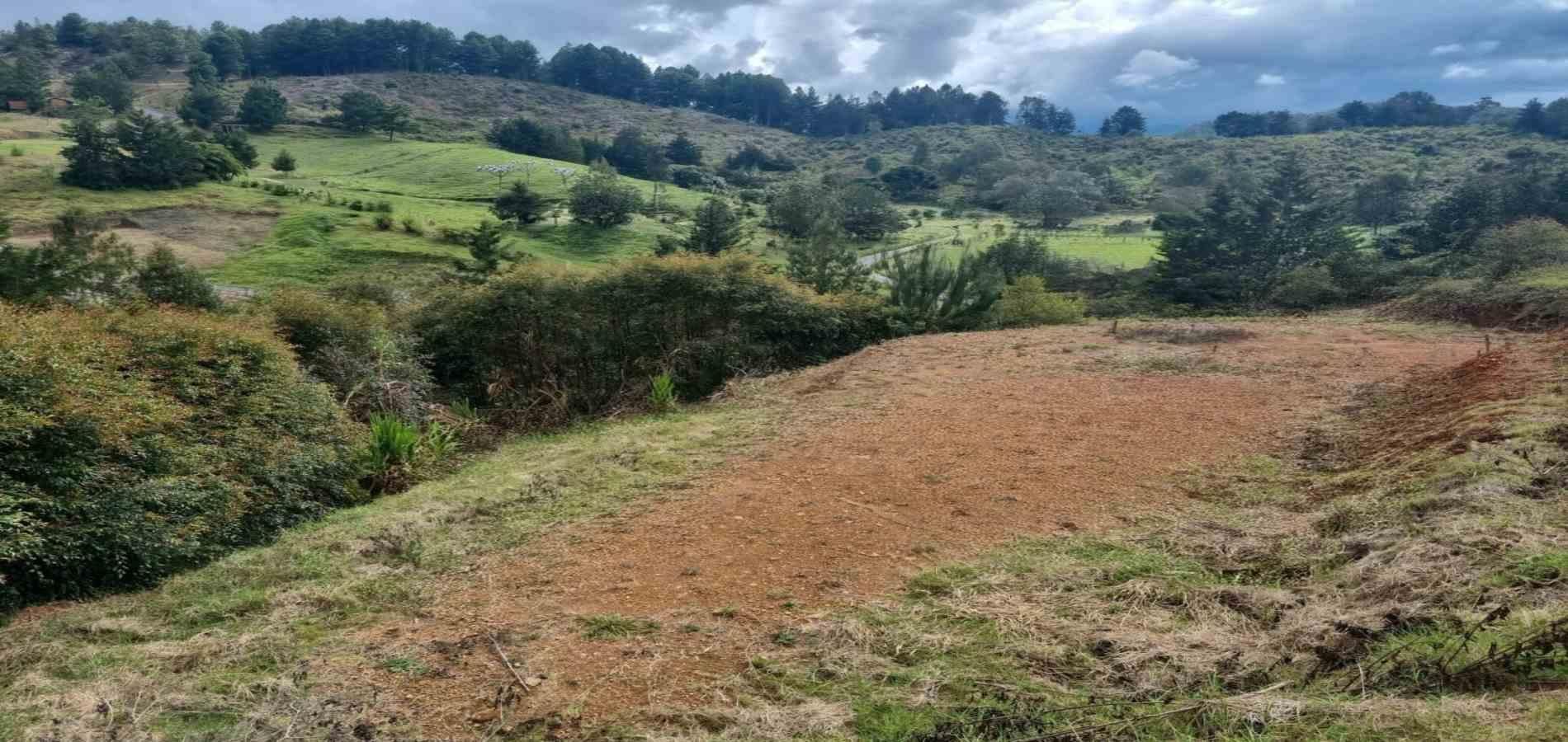Lote en venta ubicado en El Retiro, sector El Chuscal - 4