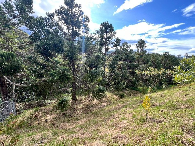 Lote en venta ubicado en El Retiro, sector El Chuzcal - 7