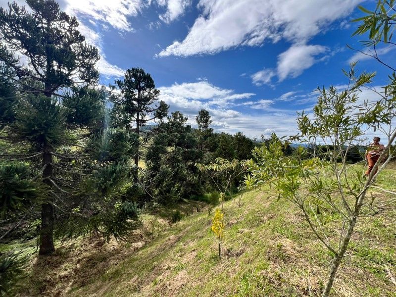 Lote en venta ubicado en El Retiro, sector El Chuzcal - 8