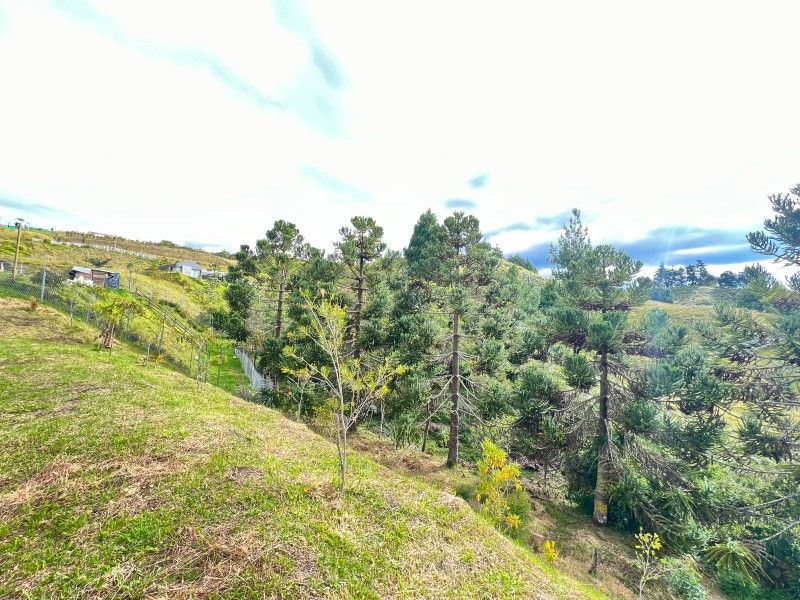 Lote en venta ubicado en El Retiro, sector El Chuzcal - 9