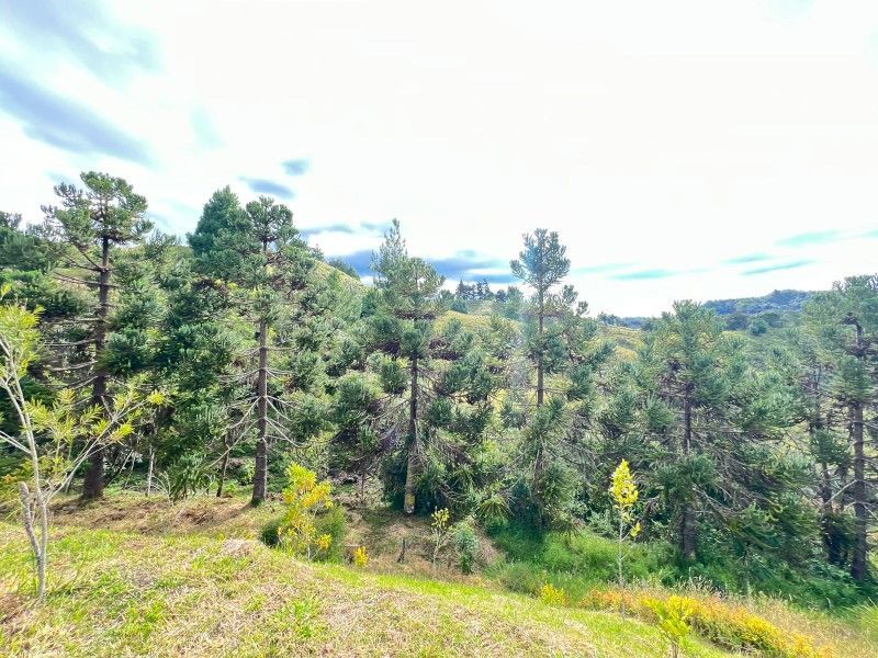 Lote en venta ubicado en El Retiro, sector El Chuzcal - 13