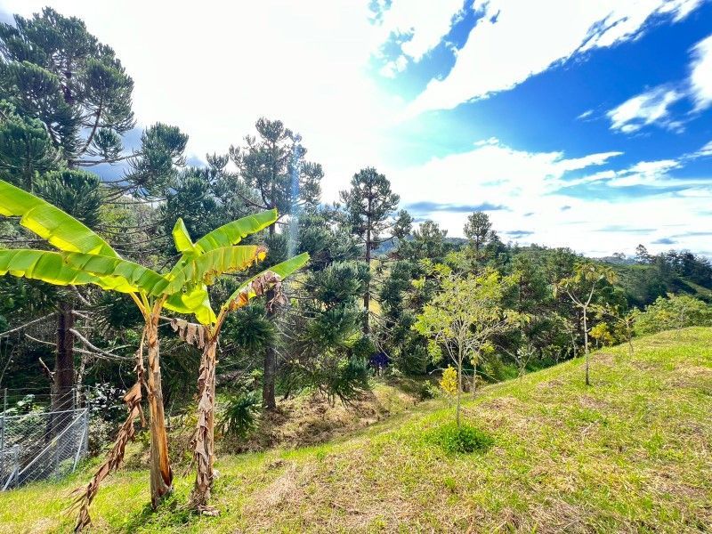 Lote en venta ubicado en El Retiro, sector El Chuzcal - 14