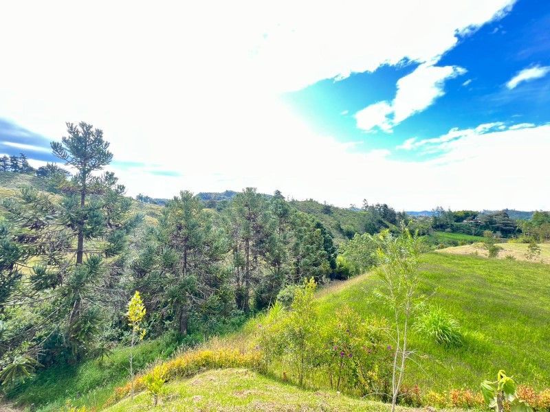 Lote en venta ubicado en El Retiro, sector El Chuzcal - 18