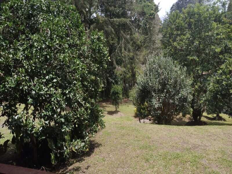 Finca en venta ubicada en El Carmen de Viboral, sector Quirama - 11