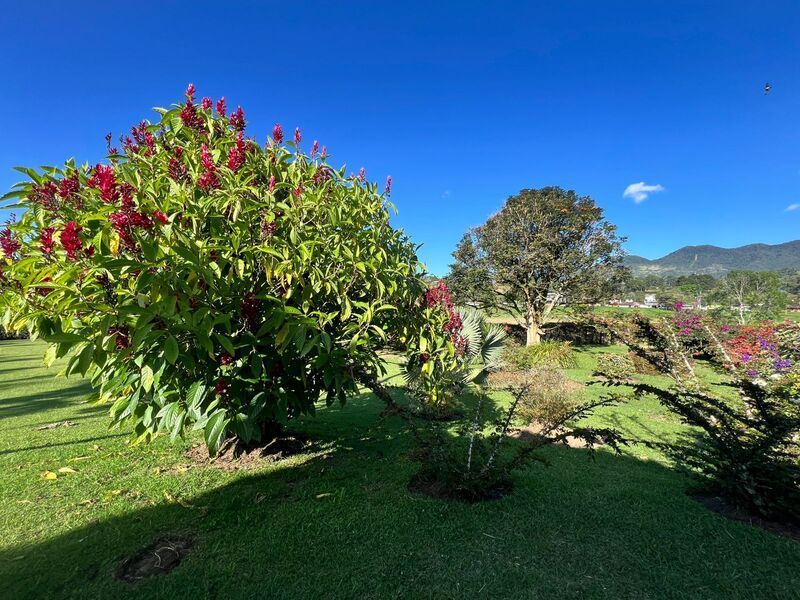 Finca en venta ubicada en Rionegro, sector Vereda Santa Teresa - 25