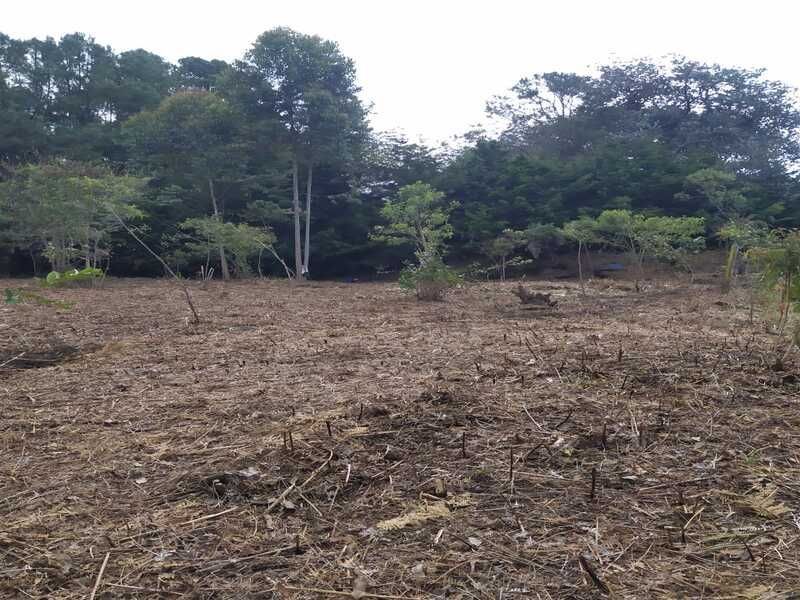 Lote en venta ubicado en Rionegro, sector Los Pinos - 2