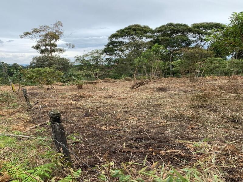 Lote en venta ubicado en Rionegro, sector Los Pinos - 3