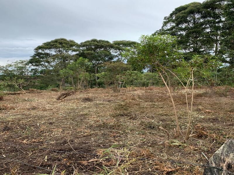 Lote en venta ubicado en Rionegro, sector Los Pinos - 5