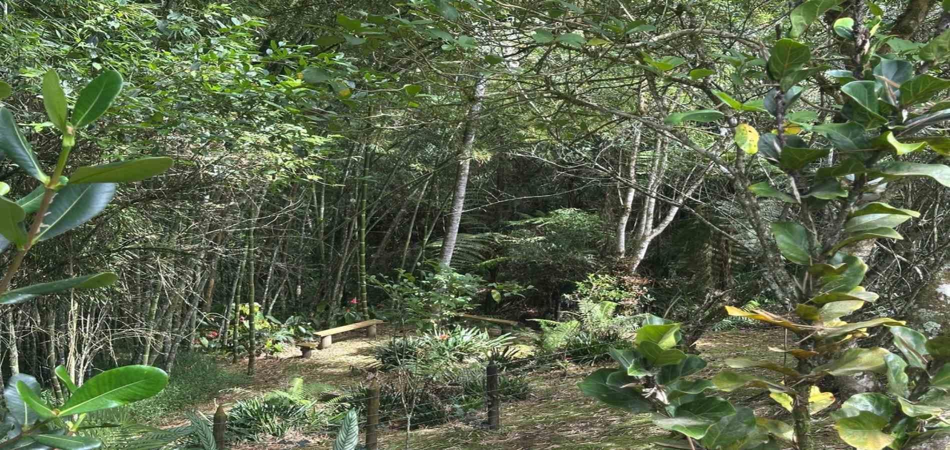 Casa en arriendo ubicada en Rionegro, sector Vereda Cascajo Abajo - 21