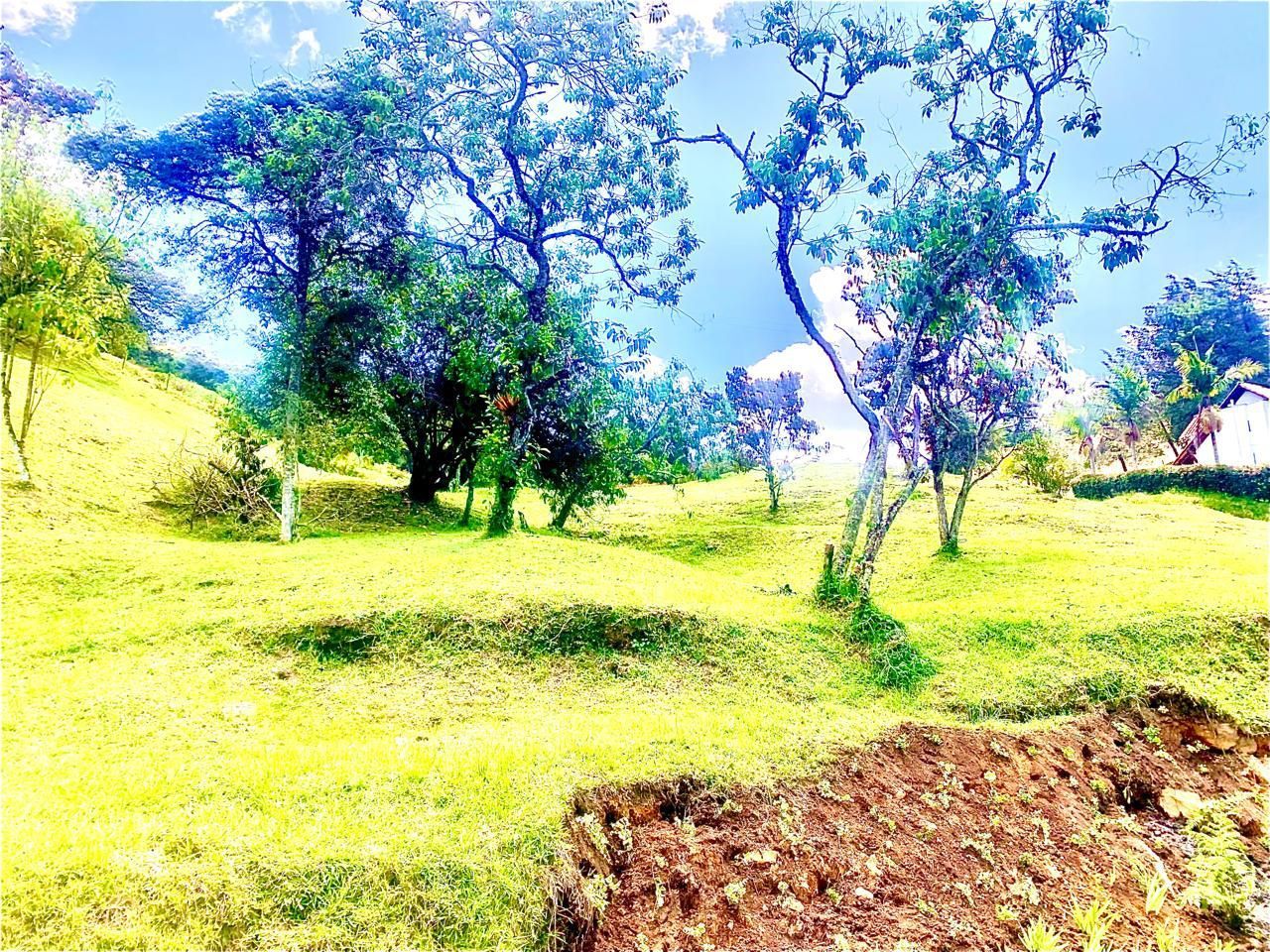 Finca en venta ubicada en Rionegro, sector Sajonia - 9