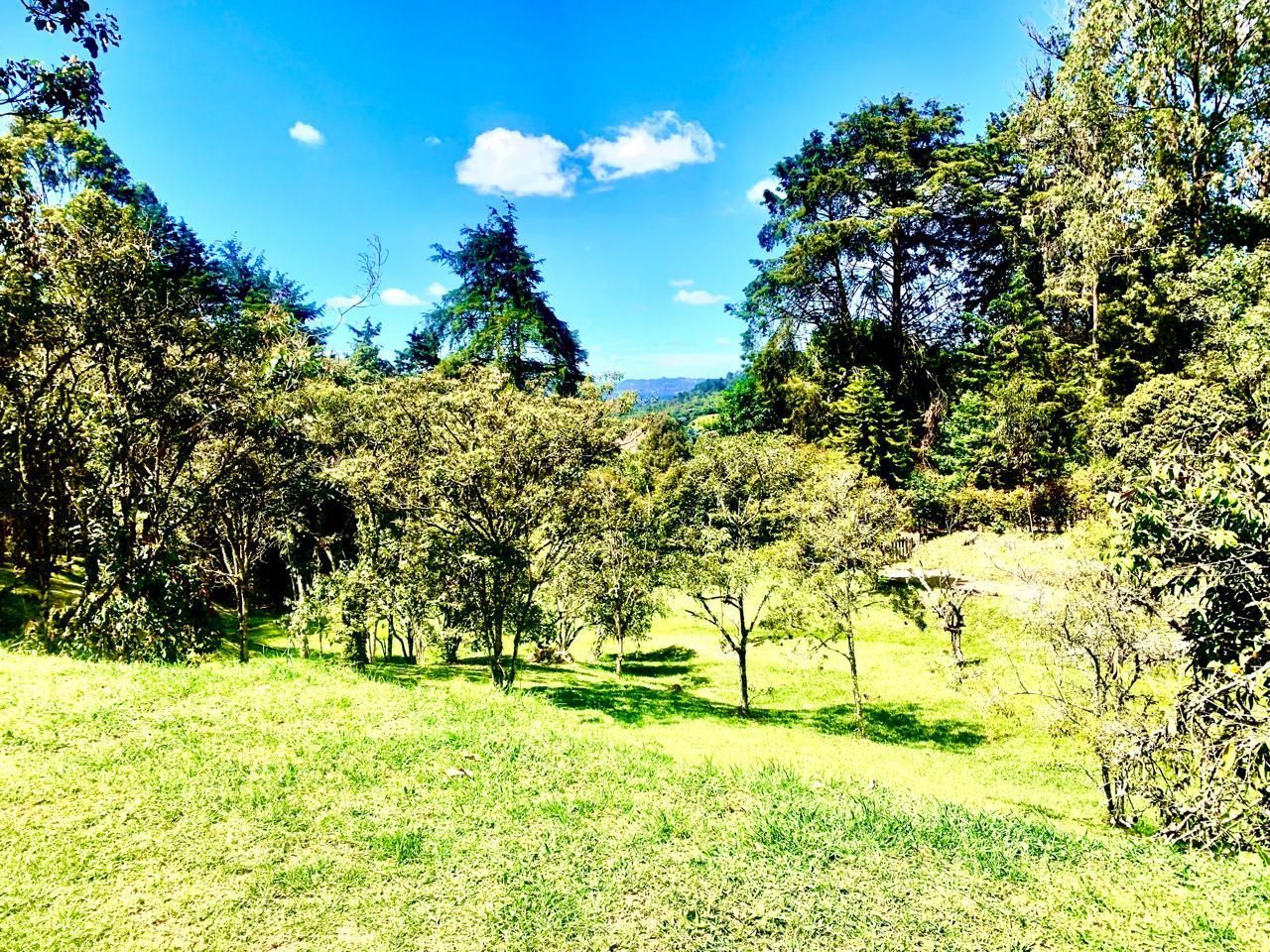Finca en venta ubicada en Rionegro, sector Sajonia - 10
