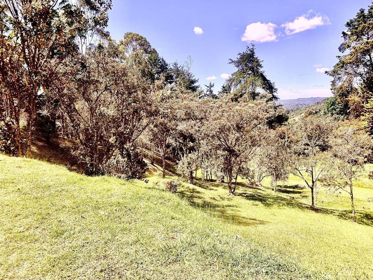 Finca en venta ubicada en Rionegro, sector Sajonia - 11