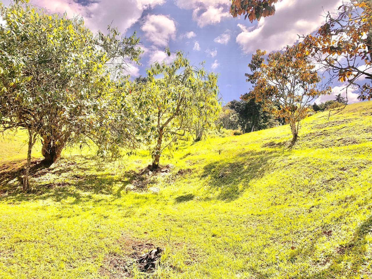 Finca en venta ubicada en Rionegro, sector Sajonia - 12