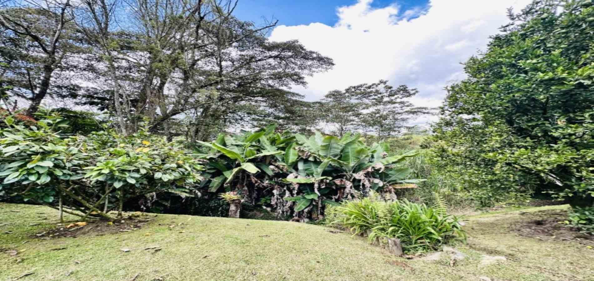 Casa en arriendo ubicada en Rionegro, sector San Antonio de Pereira - 54