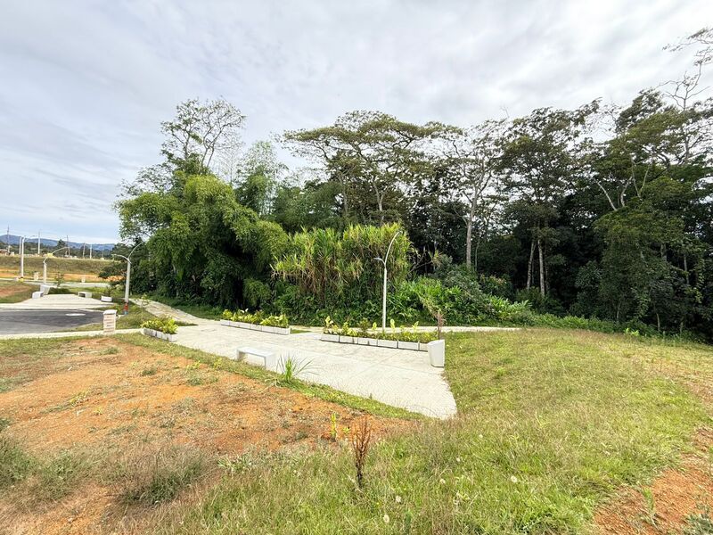 Lote en venta ubicado en Rionegro, sector San Antonio - 7