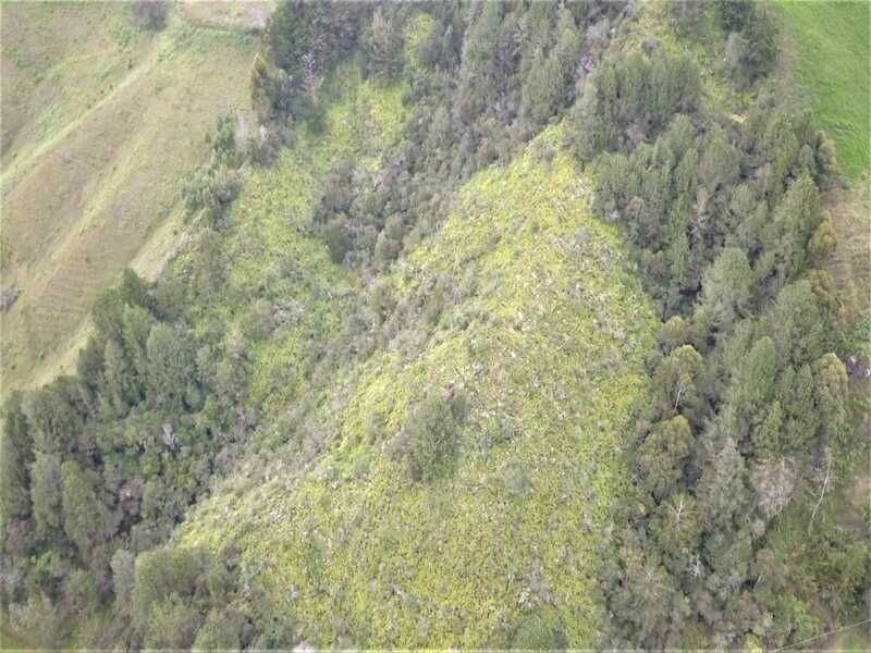 Lote en venta ubicado en Marinilla, sector Vereda Gaviria - 3