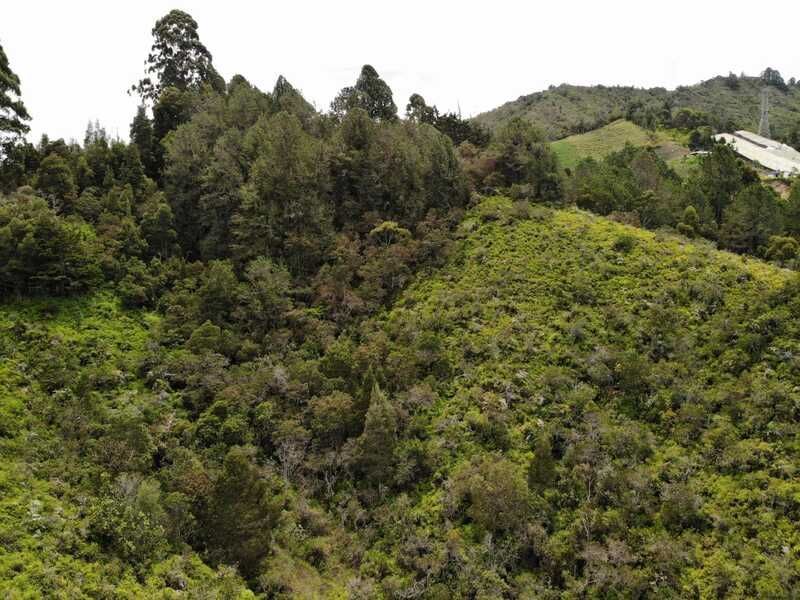 Lote en venta ubicado en Marinilla, sector Vereda Gaviria - 4