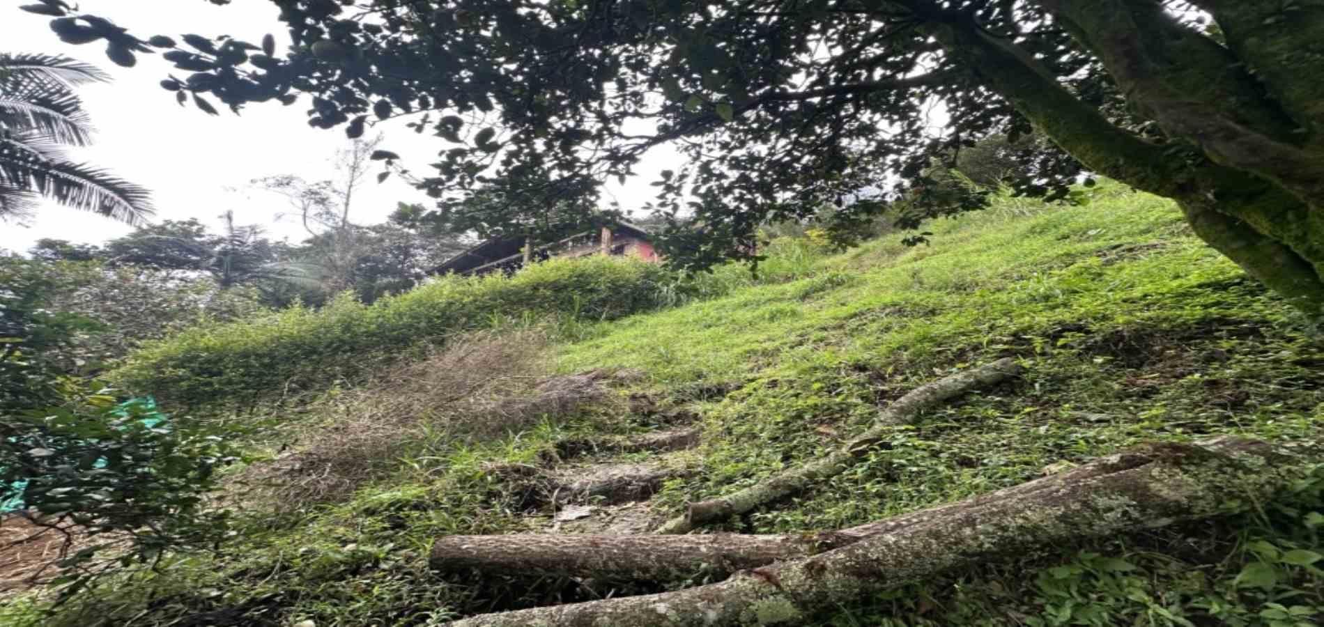 Finca en venta ubicada en Sabaneta, sector Pan de Azúcar - 2