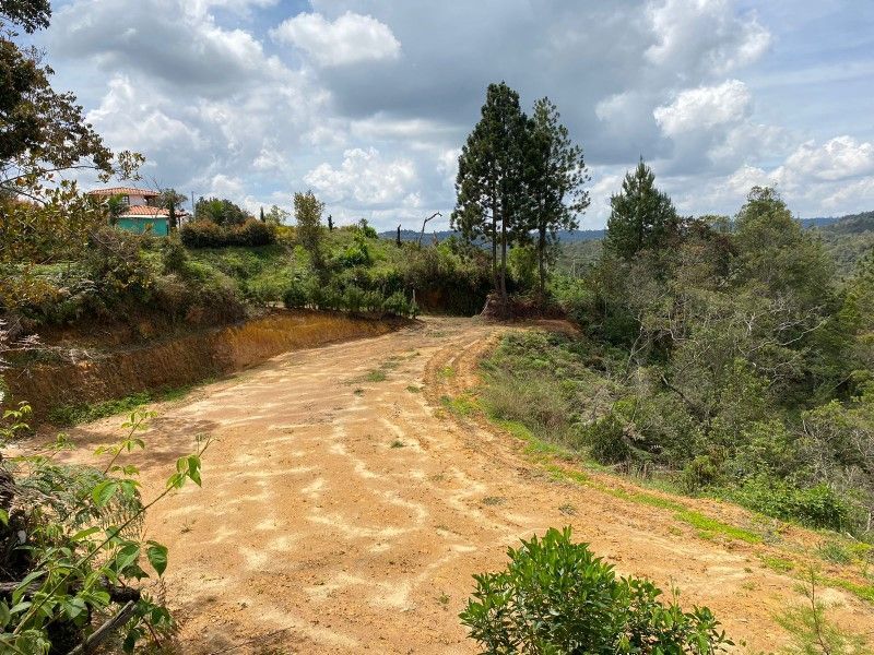 Casa en venta ubicada en San Vicente Ferrer, sector Montegrande - 12