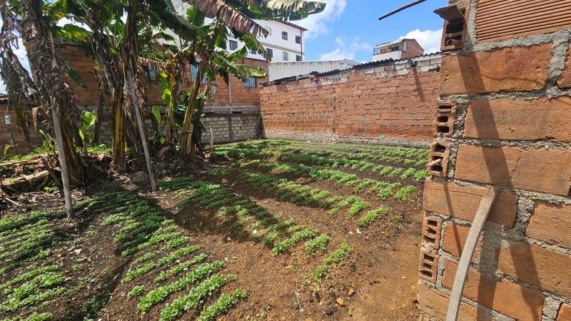 Lote en venta ubicado en La Ceja, sector Centro - 2