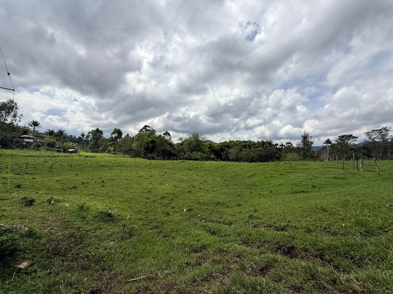 Lote en venta ubicado en Rionegro, sector Vereda la Lucha - 5