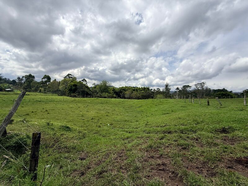 Lote en venta ubicado en Rionegro, sector Vereda la Lucha - 7