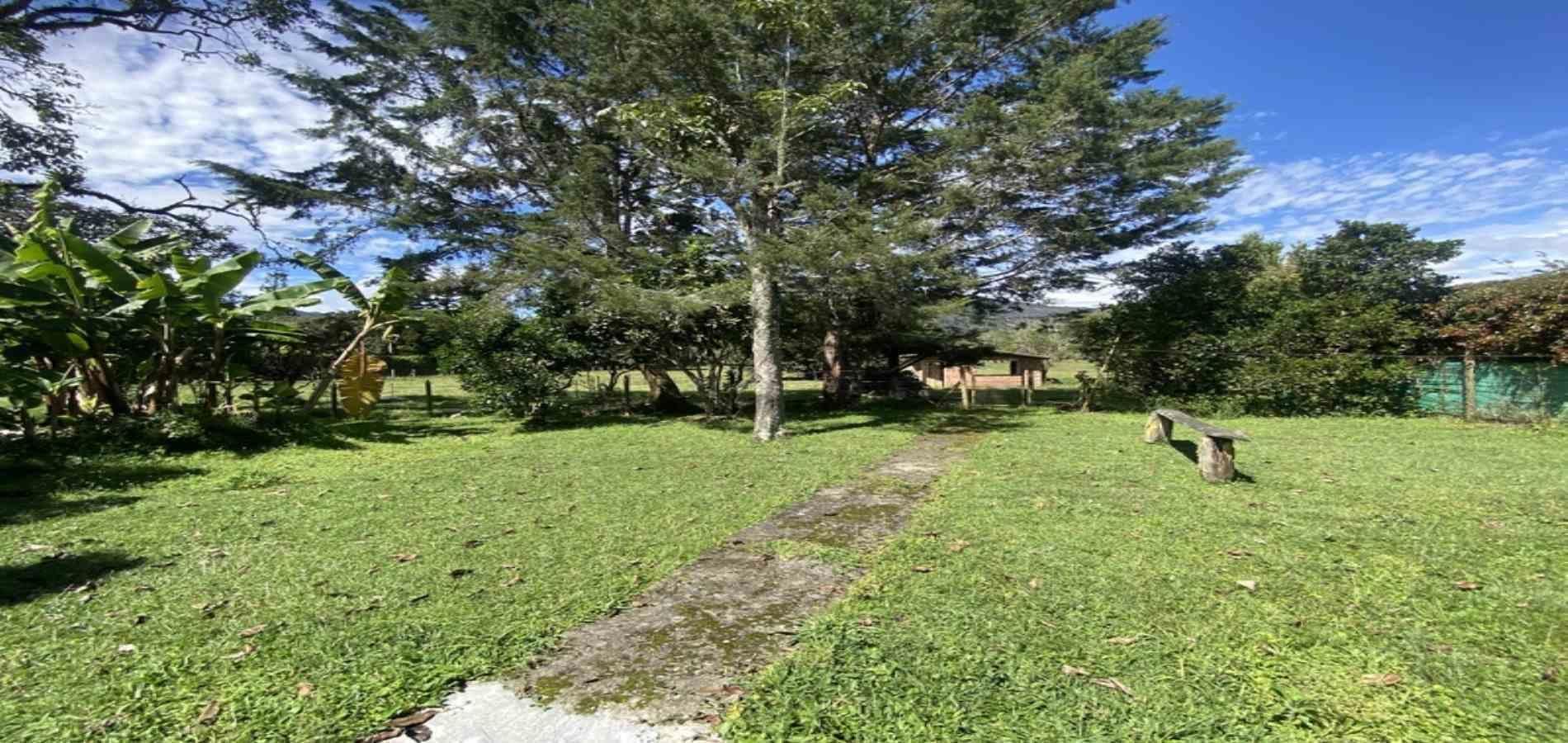 Finca en arriendo ubicada en Rionegro, sector Llanogrande - 29