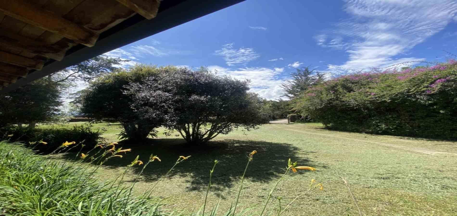 Finca en arriendo ubicada en Rionegro, sector Llanogrande - 30