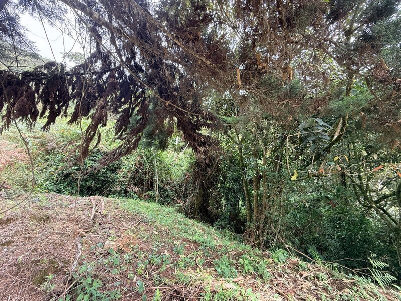 Lote en venta ubicado en El Retiro, sector Vereda las Sordas - 3